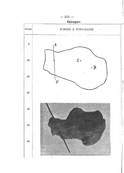 Archivio di ortopedia pubblicazione ufficiale del Pio istituto dei rachitici <1924-1950>