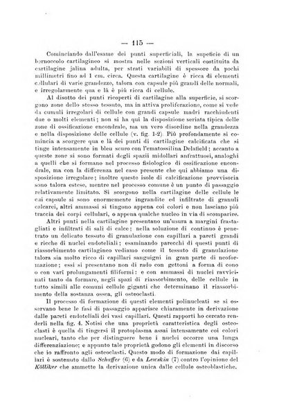 Archivio di ortopedia pubblicazione ufficiale del Pio istituto dei rachitici <1924-1950>