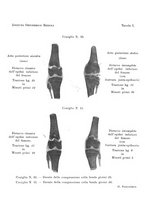 giornale/TO00176849/1907/unico/00000309