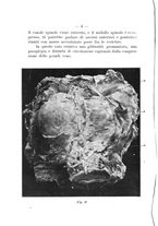 giornale/TO00176849/1908/unico/00000016