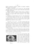 giornale/TO00176849/1908/unico/00000024