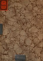 giornale/TO00176849/1909/unico/00000002