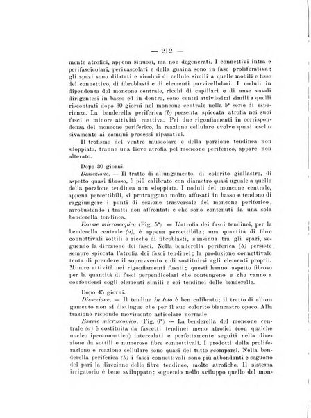 Archivio di ortopedia pubblicazione ufficiale del Pio istituto dei rachitici <1924-1950>