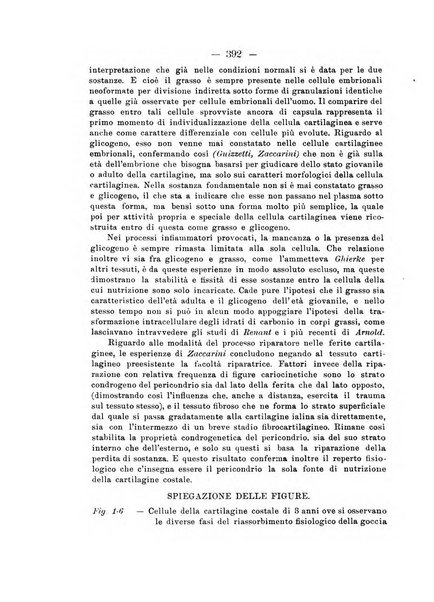 Archivio di ortopedia pubblicazione ufficiale del Pio istituto dei rachitici <1924-1950>