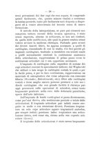 giornale/TO00176849/1912/unico/00000038