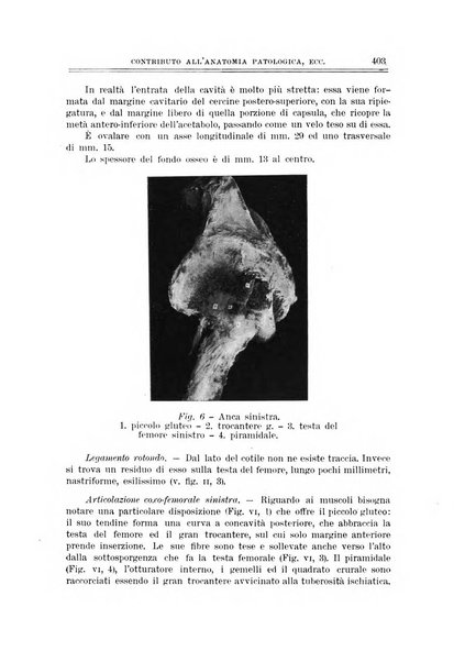 Archivio di ortopedia pubblicazione ufficiale del Pio istituto dei rachitici <1924-1950>