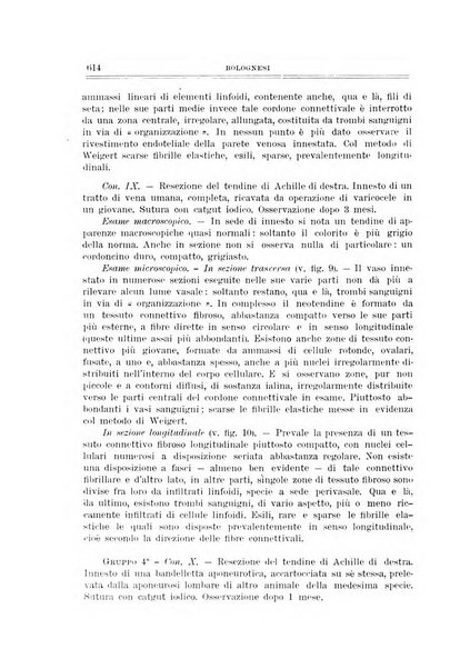 Archivio di ortopedia pubblicazione ufficiale del Pio istituto dei rachitici <1924-1950>