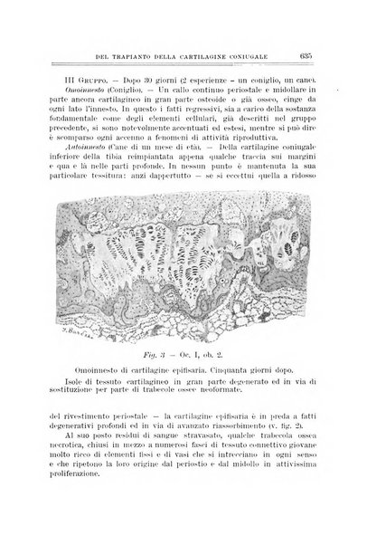 Archivio di ortopedia pubblicazione ufficiale del Pio istituto dei rachitici <1924-1950>