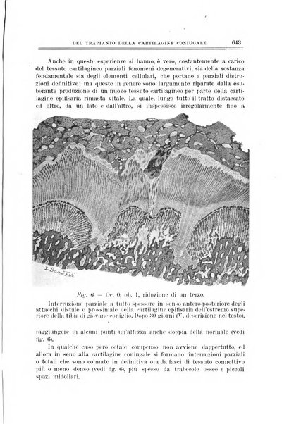 Archivio di ortopedia pubblicazione ufficiale del Pio istituto dei rachitici <1924-1950>