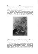 giornale/TO00176849/1914/unico/00000012