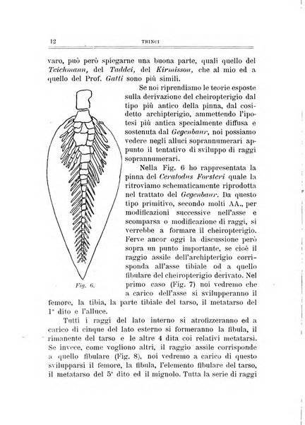 Archivio di ortopedia pubblicazione ufficiale del Pio istituto dei rachitici <1924-1950>