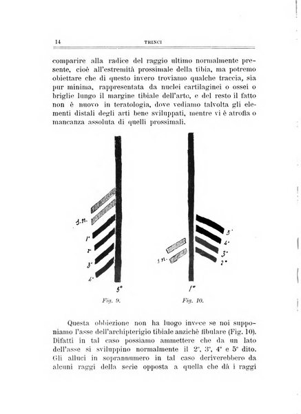 Archivio di ortopedia pubblicazione ufficiale del Pio istituto dei rachitici <1924-1950>