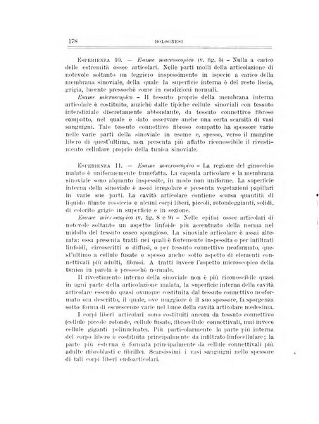 Archivio di ortopedia pubblicazione ufficiale del Pio istituto dei rachitici <1924-1950>