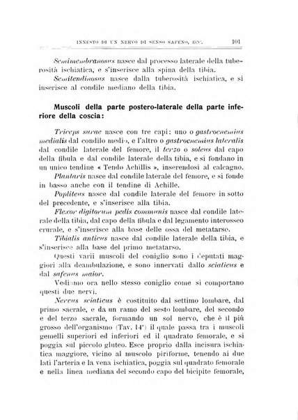 Archivio di ortopedia pubblicazione ufficiale del Pio istituto dei rachitici <1924-1950>