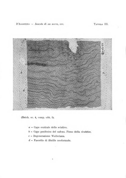 Archivio di ortopedia pubblicazione ufficiale del Pio istituto dei rachitici <1924-1950>