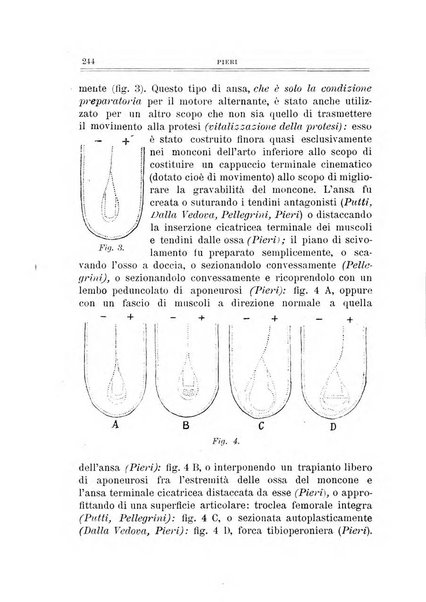 Archivio di ortopedia pubblicazione ufficiale del Pio istituto dei rachitici <1924-1950>