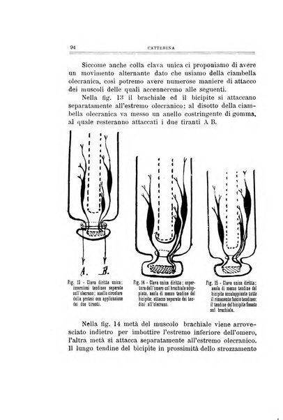 Archivio di ortopedia pubblicazione ufficiale del Pio istituto dei rachitici <1924-1950>