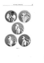 giornale/TO00176849/1921/unico/00000027