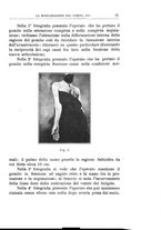 giornale/TO00176849/1921/unico/00000031