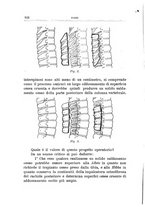 giornale/TO00176849/1921/unico/00000554