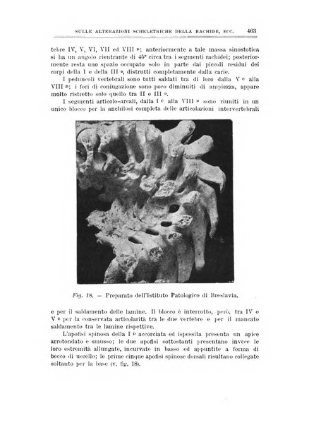 Archivio di ortopedia pubblicazione ufficiale del Pio istituto dei rachitici <1924-1950>