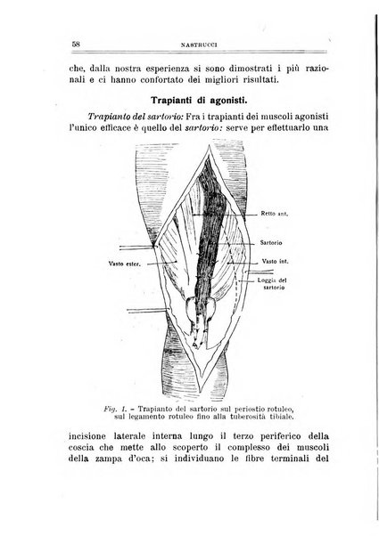 Archivio di ortopedia pubblicazione ufficiale del Pio istituto dei rachitici <1924-1950>