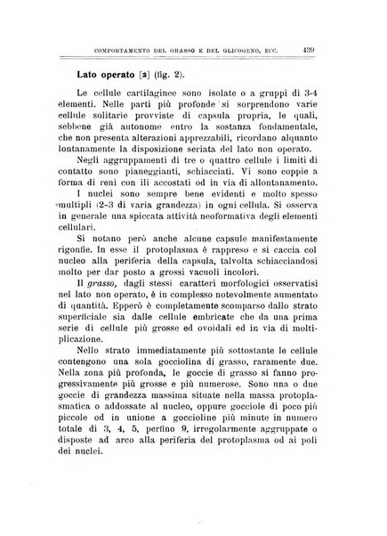 Archivio di ortopedia pubblicazione ufficiale del Pio istituto dei rachitici <1924-1950>