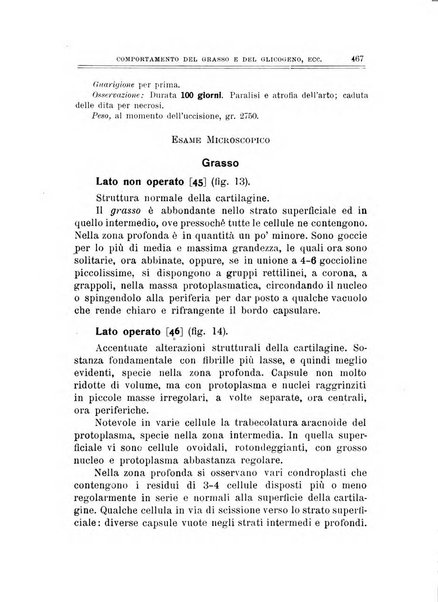 Archivio di ortopedia pubblicazione ufficiale del Pio istituto dei rachitici <1924-1950>