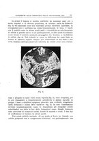 giornale/TO00176849/1925/unico/00000017