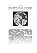 giornale/TO00176849/1925/unico/00000018