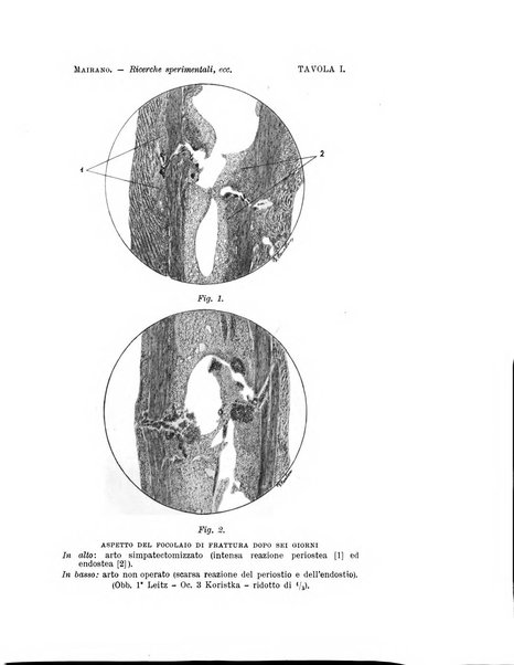 Archivio di ortopedia pubblicazione ufficiale del Pio istituto dei rachitici <1924-1950>