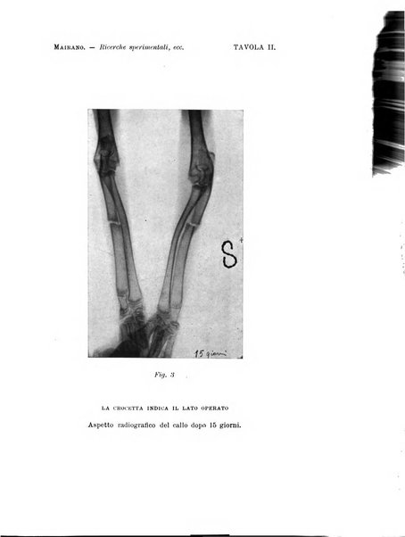 Archivio di ortopedia pubblicazione ufficiale del Pio istituto dei rachitici <1924-1950>