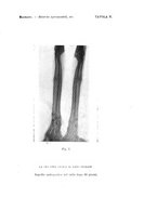 giornale/TO00176849/1925/unico/00000067