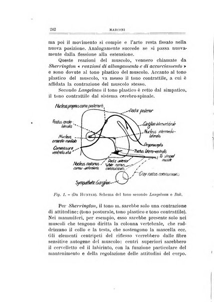 Archivio di ortopedia pubblicazione ufficiale del Pio istituto dei rachitici <1924-1950>