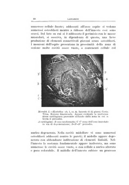 Archivio di ortopedia pubblicazione ufficiale del Pio istituto dei rachitici <1924-1950>