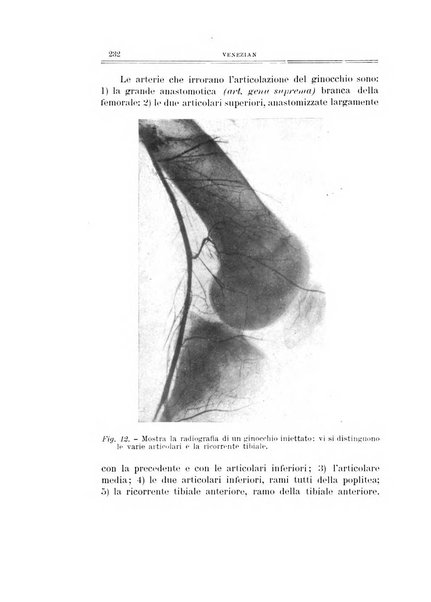 Archivio di ortopedia pubblicazione ufficiale del Pio istituto dei rachitici <1924-1950>