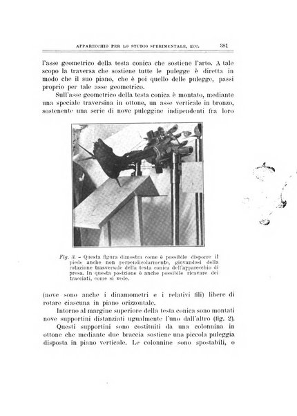 Archivio di ortopedia pubblicazione ufficiale del Pio istituto dei rachitici <1924-1950>