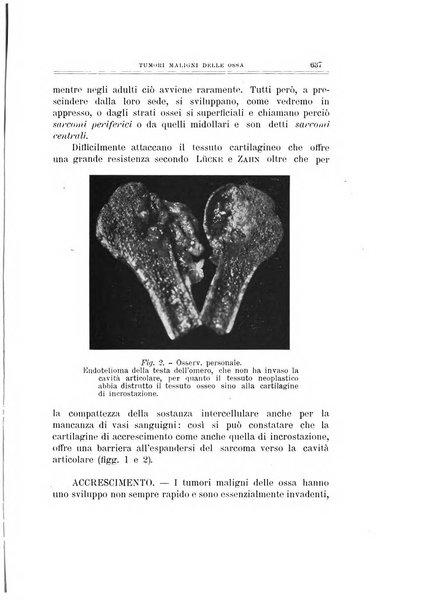 Archivio di ortopedia pubblicazione ufficiale del Pio istituto dei rachitici <1924-1950>