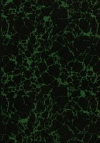 giornale/TO00176849/1928/unico/00000001