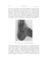 giornale/TO00176849/1928/unico/00000036