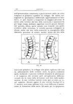 giornale/TO00176849/1928/unico/00000358