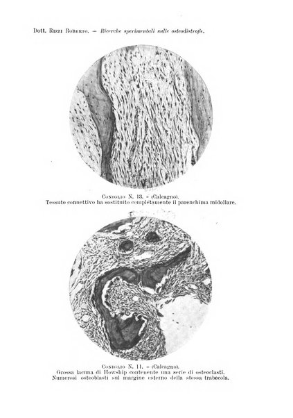 Archivio di ortopedia pubblicazione ufficiale del Pio istituto dei rachitici <1924-1950>