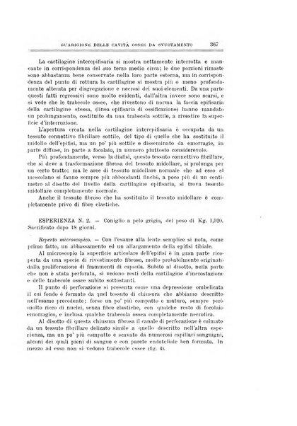 Archivio di ortopedia pubblicazione ufficiale del Pio istituto dei rachitici <1924-1950>