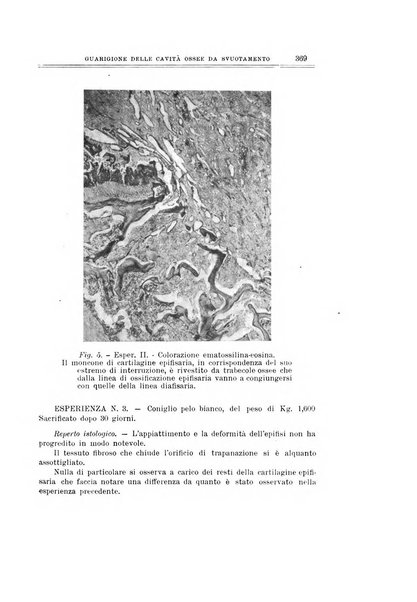 Archivio di ortopedia pubblicazione ufficiale del Pio istituto dei rachitici <1924-1950>