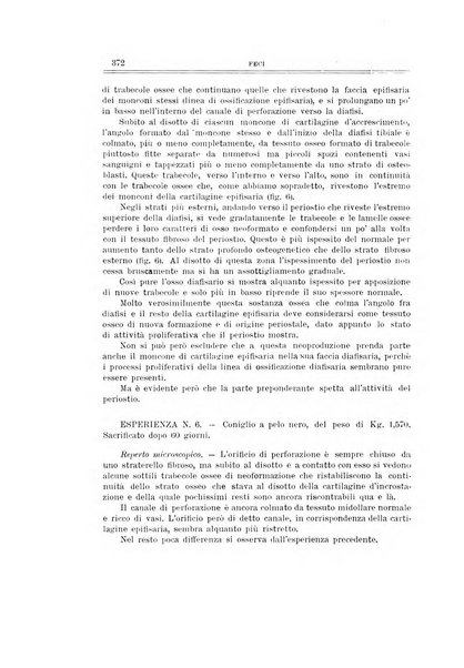 Archivio di ortopedia pubblicazione ufficiale del Pio istituto dei rachitici <1924-1950>