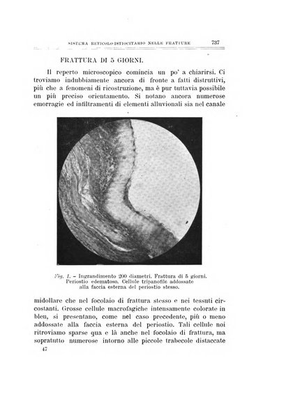 Archivio di ortopedia pubblicazione ufficiale del Pio istituto dei rachitici <1924-1950>