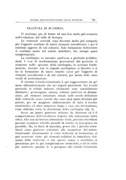 Archivio di ortopedia pubblicazione ufficiale del Pio istituto dei rachitici <1924-1950>