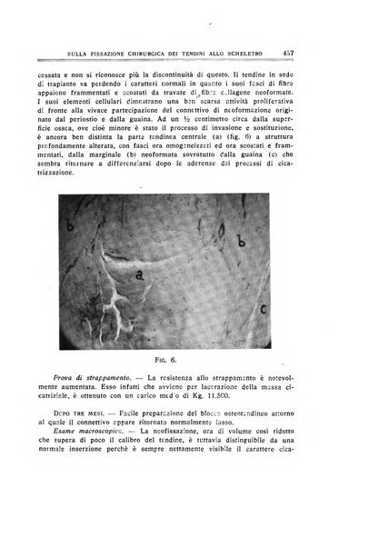 Archivio di ortopedia pubblicazione ufficiale del Pio istituto dei rachitici <1924-1950>