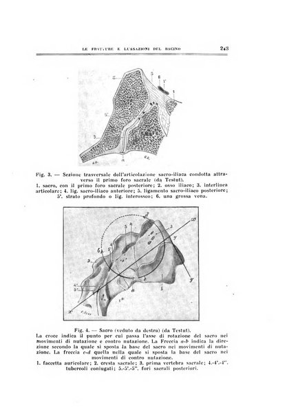 Archivio di ortopedia pubblicazione ufficiale del Pio istituto dei rachitici <1924-1950>