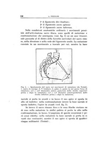 Archivio di ortopedia pubblicazione ufficiale del Pio istituto dei rachitici <1924-1950>